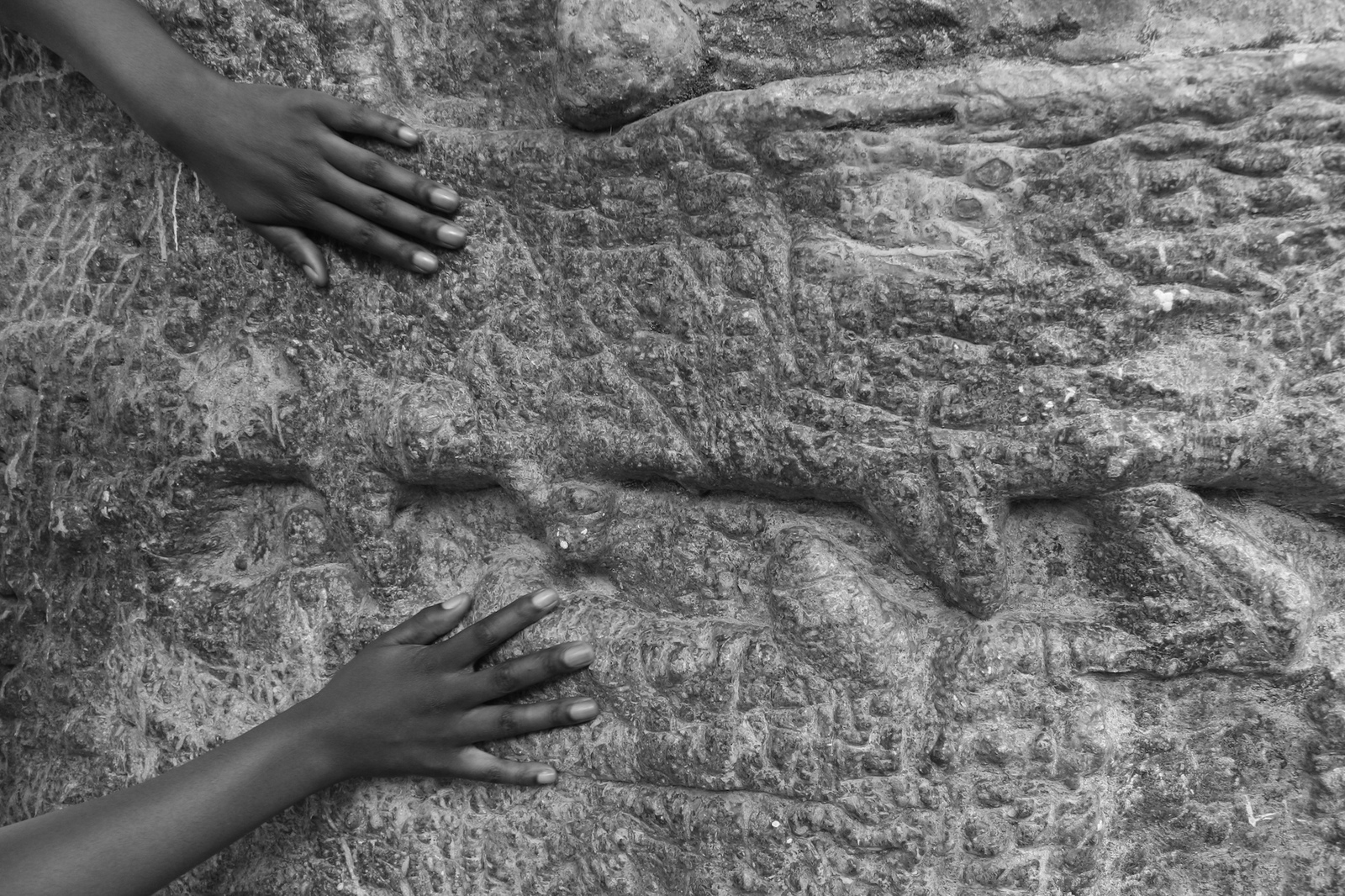 Swann Devlin - Photography installations & Visual Art